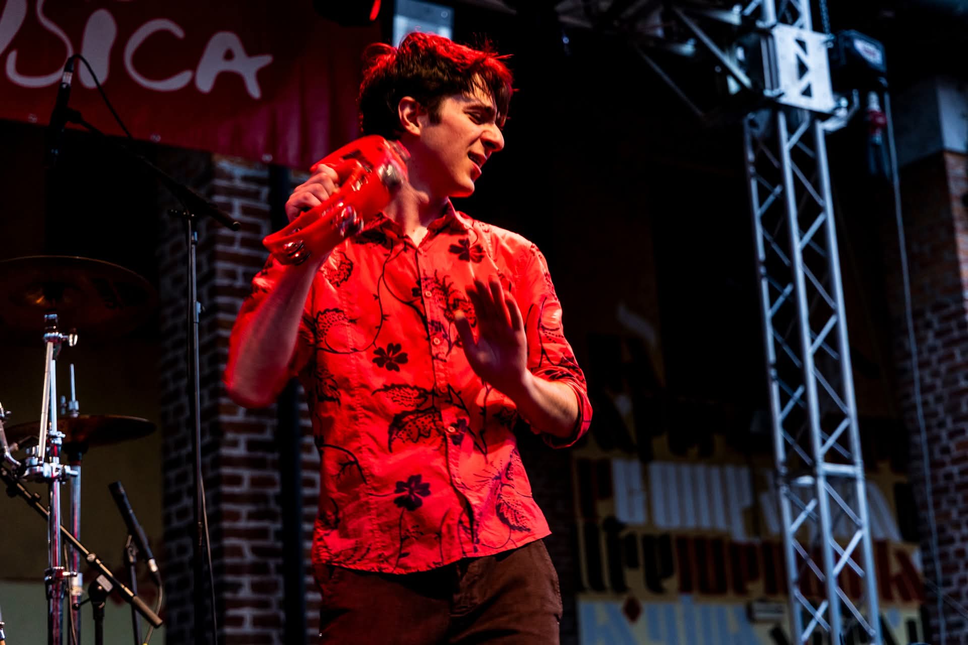 Francesco Perego durante un concerto